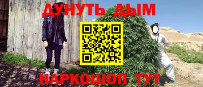 ПСИЛОЦИБИНОВЫЕ ГРИБЫ Бердск