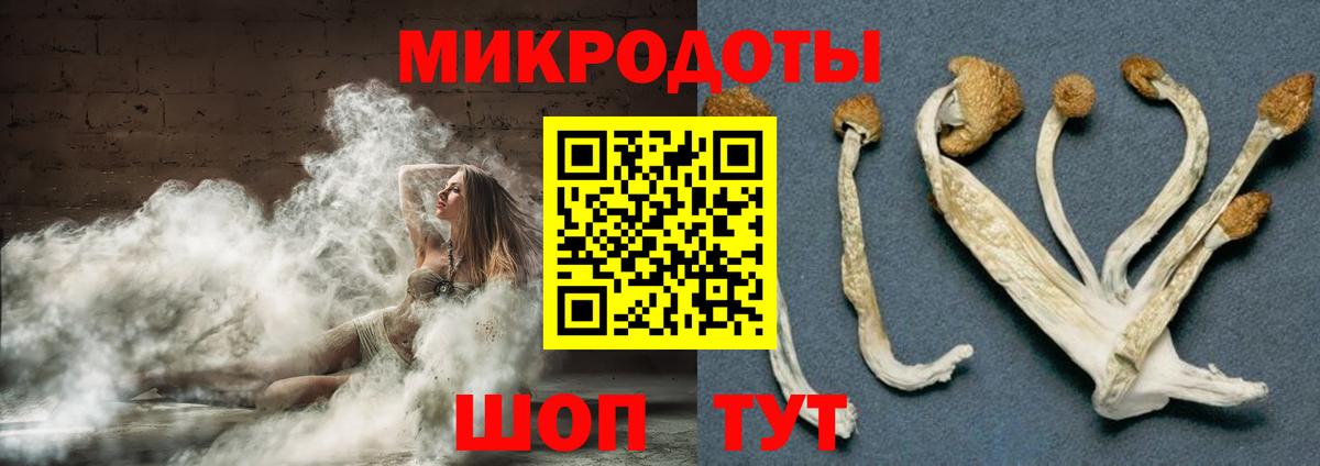 Галлюциногенные грибы Psilocybine cubensis  купить закладку  Белогорск  Вход с VPN 